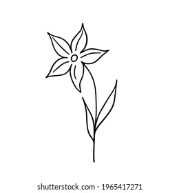 Flower. Doodle. Abstract field flower. Isolated element on white background. 