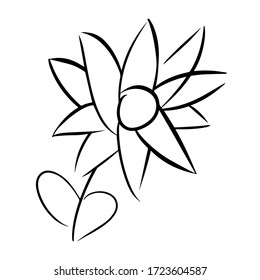 Flower doodle, cartoon, hand draw, isolated on a white background for packaging design, print on fabric, card, postcard, notebook, notepad, wallpaper. Bio, organic, natural. For cosmetics. Vector.