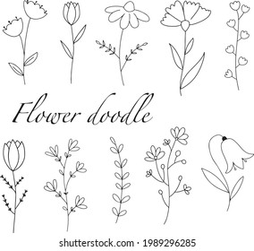 
Flower Doodle Graphic Elements, Illustration Large Vector Set Hand Drawn For Text decoration 