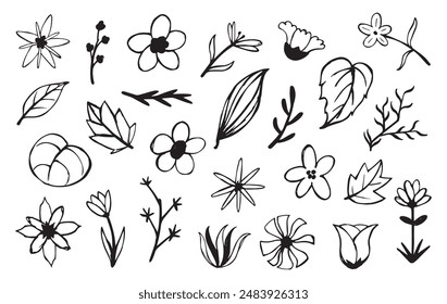 Blume Doodle Hand gezeichnete Linie Strich. Skizzieren Sie von Hand gezeichnete Frühlingsblütenpflanze. Natur grafische florale Vektorillustration