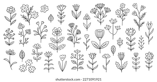 Flower doodle illustration including different field herbs. Hand drawn cute line art of spring flora - chamomile, clover cornflower, bluebell, lily, poppy, buttercup. Outline rustic botanical drawing