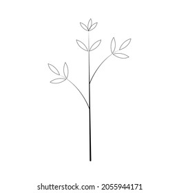 Blumendoodle einzeln auf weißem Hintergrund. Vektorgrafik