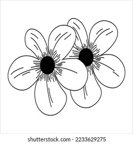 Flower Doodle Line Art Vector