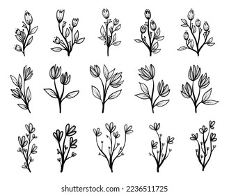 Flower Doodle Lineart Hand Drawn Spring Collection Vector Graphics