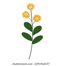 flower in doodle style isolated vector