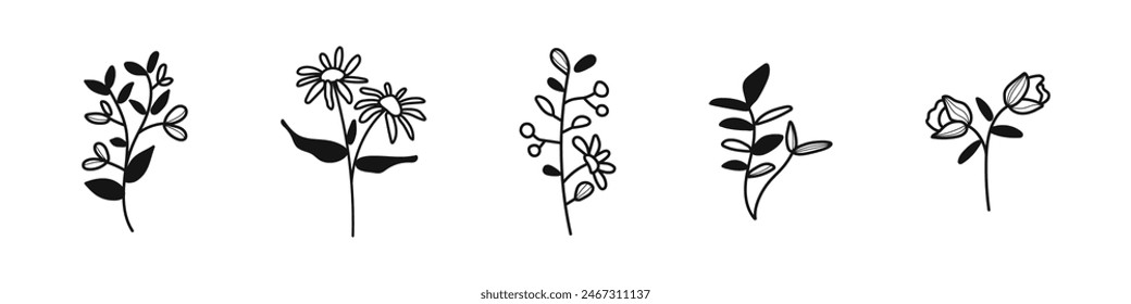 Flower doodle vector set. Sketch botanical elements. Leaves and flowers scetchy collection.