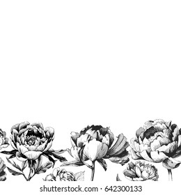 Flower drawing by Black Ink. Peony flower. Hand drawn botanical art isolated on white background. Floral illustration. Flowers drawing vector illustration and line art.