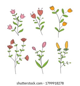 flower drawing illustration vector design