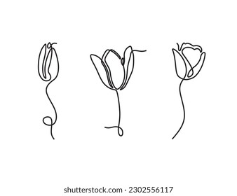 flower drawing line art set
