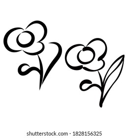 Flower drawing. Drawing for the logo. Topic: beauty, cosmetics, beauty salon, ecology.