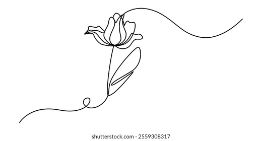 Flower drawing mono line. Continuous line icon on white background, Flower drawing mono line. Continuous line icon on white background, Tulip Continuous one Abstract.