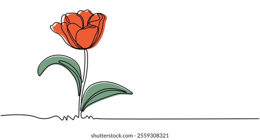 Flower drawing mono line. Continuous line icon on white background, Flower drawing mono line. Continuous line icon on white background, Tulip Continuous one Abstract.