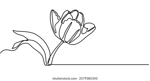 Flower drawing mono line. Continuous line icon on white background, Tulip Web Banner with Continuous Line Icon, Flower drawing mono. Continuous line icon on white background, A simple black.