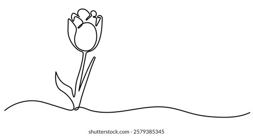 Flower drawing mono line. Continuous line icon on white background, Tulip Web Banner with Continuous Line Icon, Flower drawing mono. Continuous line icon on white background, A simple black.