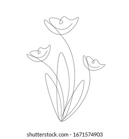 Flower drawing on white background	