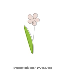 Blumenzeichnung auf weißem Hintergrund, Vektorgrafik