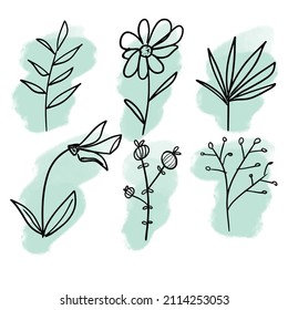 flower drawing and flower outline illustration sketch flora art design, drawing and outline concept