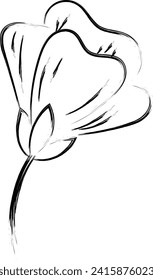 Flower Drawing for print or use as poster, card, flyer or T Shirt