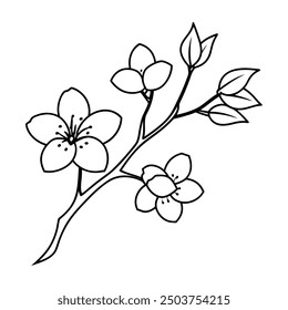 Flower Drawing Silhouette Design Vector Illustration Clipart Eps