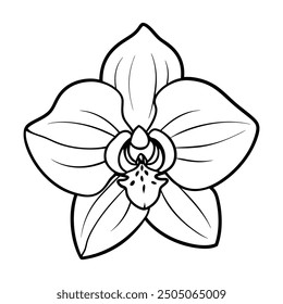 Flower Drawing Silhouette Design Vector Illustration Clipart Eps