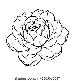 Flower Drawing Silhouette Design Vector Illustration Clipart Eps
