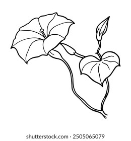Flower Drawing Silhouette Design Vector Illustration Clipart Eps