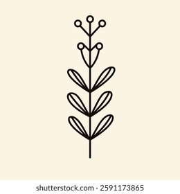 Flower Drawing Vector Art. Trendy Minimalistic with Flowers.