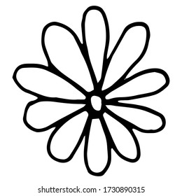 Flower drawing. Vector hand-drawn doodle illustration isolated on white background.Vector illustration for badge, logo, sticker, print.