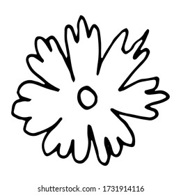 Flower drawing. Vector hand-drawn doodle illustration isolated on white background.Vector illustration for badge, logo, sticker, print.