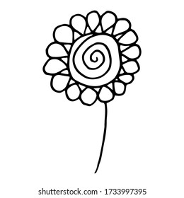 Flower drawing. Vector hand-drawn doodle illustration isolated on white background.Vector illustration for badge, logo, sticker, print.