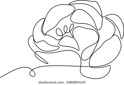 The flower is drawn as a continuous line. Vector illustration. Without artificial intelligence