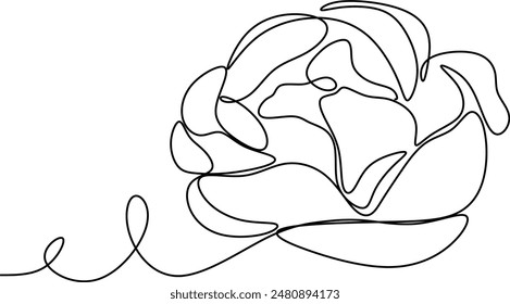 The flower is drawn as a continuous line. Vector illustration. Without artificial intelligence