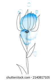 Una flor dibujada con una delgada línea negra con una acuarela azul en el fondo. Para impresión, carteles, decoración, diseño vintage para sketchbook, postal, invitación.ilustración de arte botánico