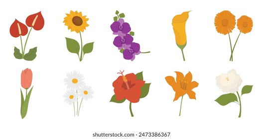 Flower Element Illustration Collection Set