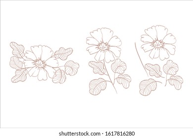 flower element vector with no color
