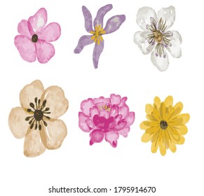 Flower Elements Illustration, watercolor, digital art