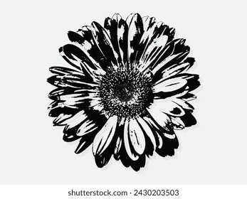 Ilustración vectorial de grabado de flores. Imitación de estilo de tabla de rascar. Imagen dibujada a mano en blanco y negro. ilustraciones para póster, fondo o tarjeta.