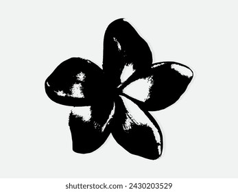 Flower engraving vector illustration. Scratch board style imitation. Black and white hand drawn image. llustrations for poster, background or card.