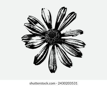 Flower engraving vector illustration. Scratch board style imitation. Black and white hand drawn image. llustrations for poster, background or card.