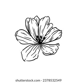 Archivo de pasos de flores de buena calidad 