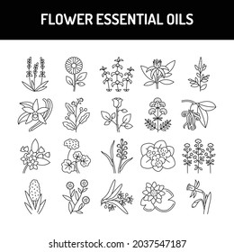 Flower essential oils сolor line icons set. Pictogram for web page, mobile app, promo. UI UX GUI design element. Editable stroke.