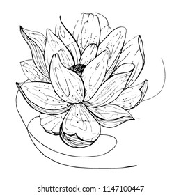 flower etching style vector eps10