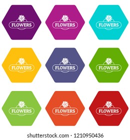 Flower farm icons 9 set coloful isolated on white for web