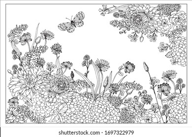 Flower field, coloring book for adults and children.Hand drawing