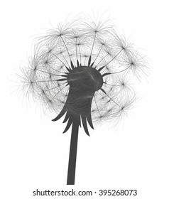 Flower of field dandelion.