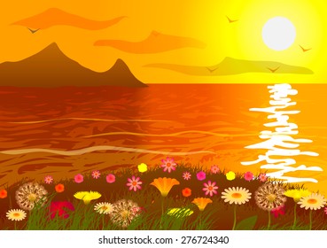 Flower field on the ocean at sunset.