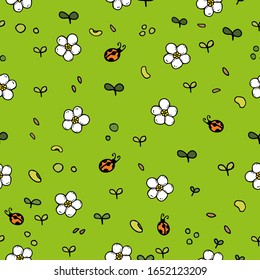 Flower field vector pattern with cute white flowers and ladybug. Green background.