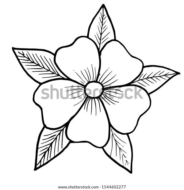 Flower Five Petals Five Leaves Flower Stock Vector (Royalty Free ...