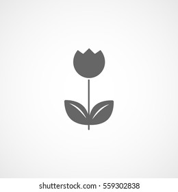 Flower Flat Icon On White Background