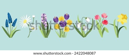 Similar – Image, Stock Photo White form of Muscari armeniacum, the Armenian grape hyacinth, inflorescence.